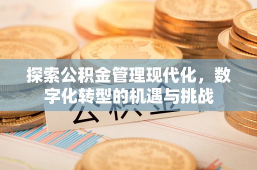 衡阳探索公积金管理现代化，数字化转型的机遇与挑战