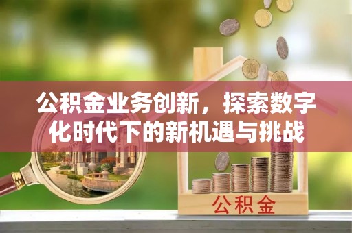 衡阳公积金业务创新，探索数字化时代下的新机遇与挑战