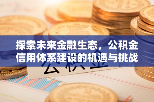衡阳探索未来金融生态，公积金信用体系建设的机遇与挑战