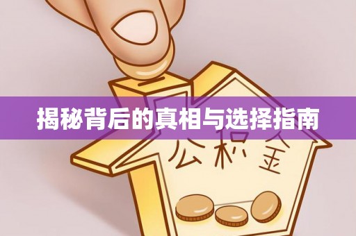 衡阳揭秘背后的真相与选择指南
