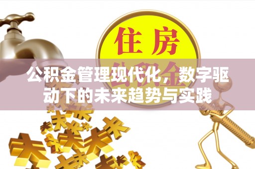 衡阳公积金管理现代化，数字驱动下的未来趋势与实践