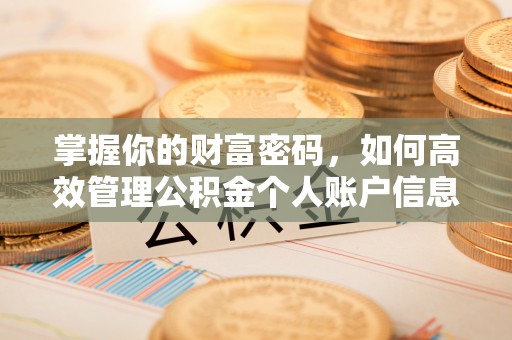衡阳掌握你的财富密码，如何高效管理公积金个人账户信息