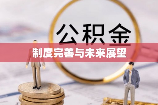 衡阳制度完善与未来展望
