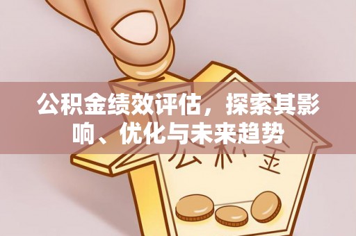 衡阳公积金绩效评估，探索其影响、优化与未来趋势