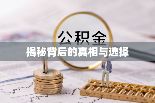 衡阳揭秘背后的真相与选择