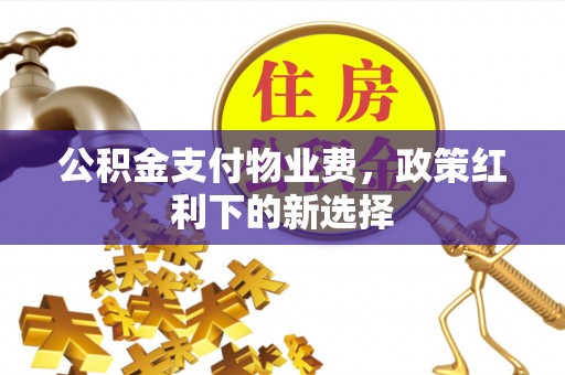 衡阳公积金支付物业费，政策红利下的新选择