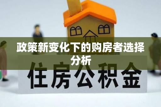 衡阳政策新变化下的购房者选择分析