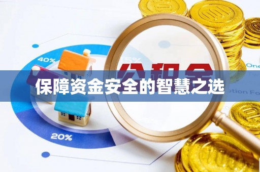 衡阳保障资金安全的智慧之选