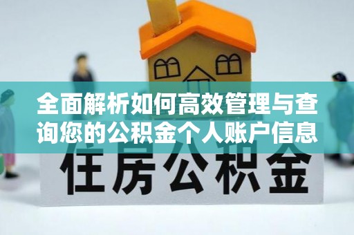 衡阳全面解析如何高效管理与查询您的公积金个人账户信息