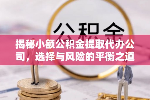 衡阳揭秘小额公积金提取代办公司，选择与风险的平衡之道