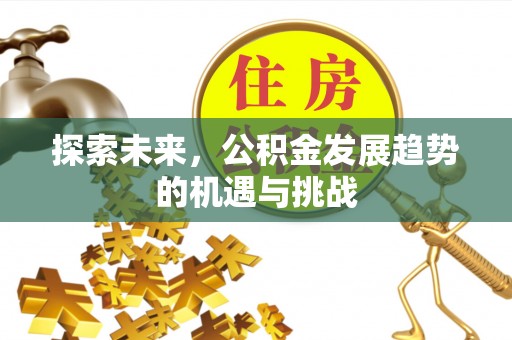 衡阳探索未来，公积金发展趋势的机遇与挑战