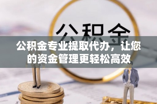 衡阳公积金专业提取代办，让您的资金管理更轻松高效