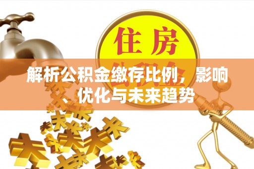 衡阳解析公积金缴存比例，影响、优化与未来趋势