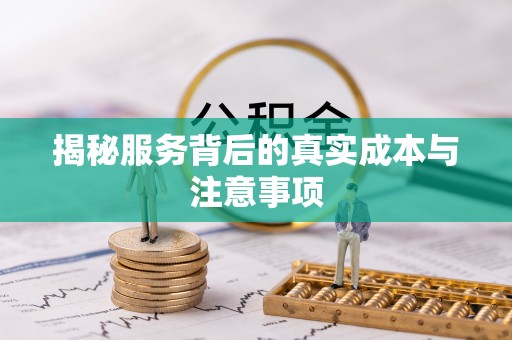 衡阳揭秘服务背后的真实成本与注意事项