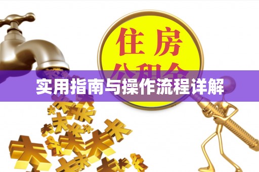 衡阳实用指南与操作流程详解