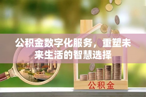 衡阳公积金数字化服务，重塑未来生活的智慧选择