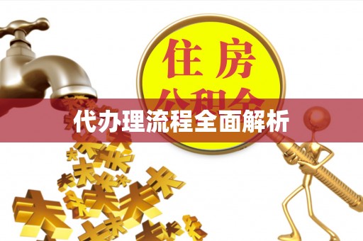 衡阳代办理流程全面解析