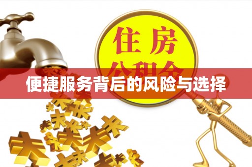 衡阳便捷服务背后的风险与选择