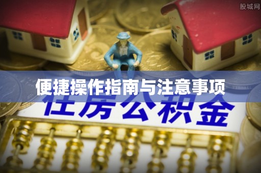 衡阳便捷操作指南与注意事项